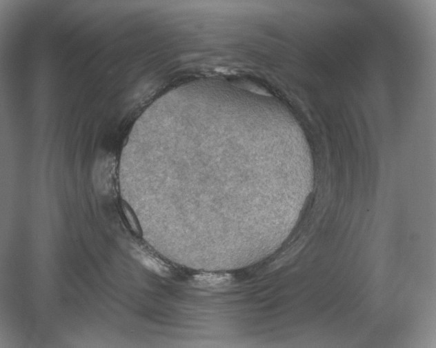 X0000080760480200701051241