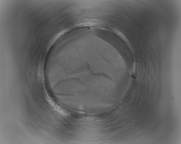 X0000080760482200701051240