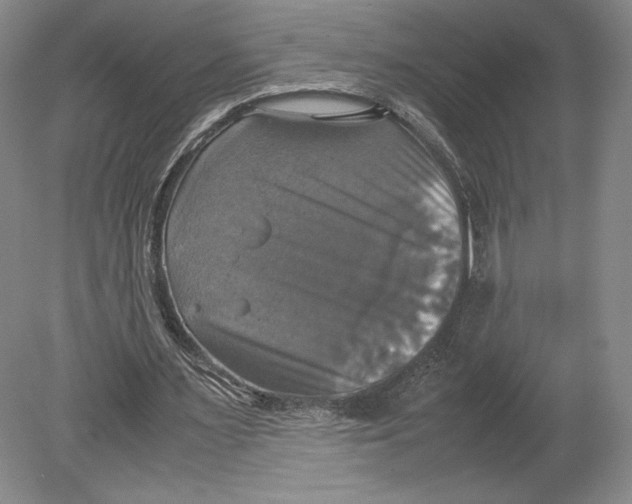 X0000080760483200701051240