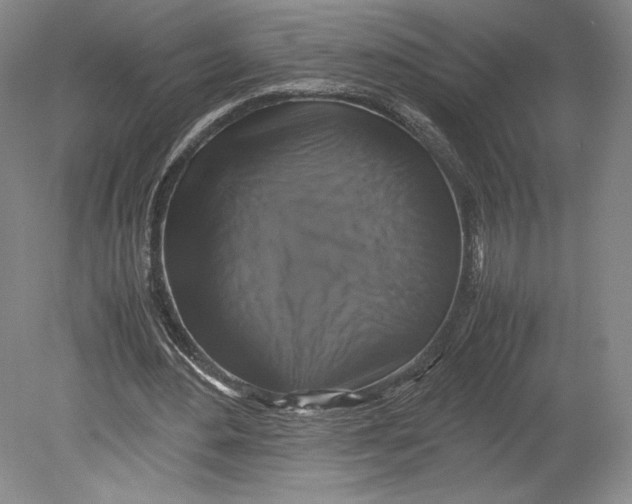 X0000080760484200701051240