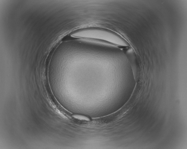 X0000080760485200701051240