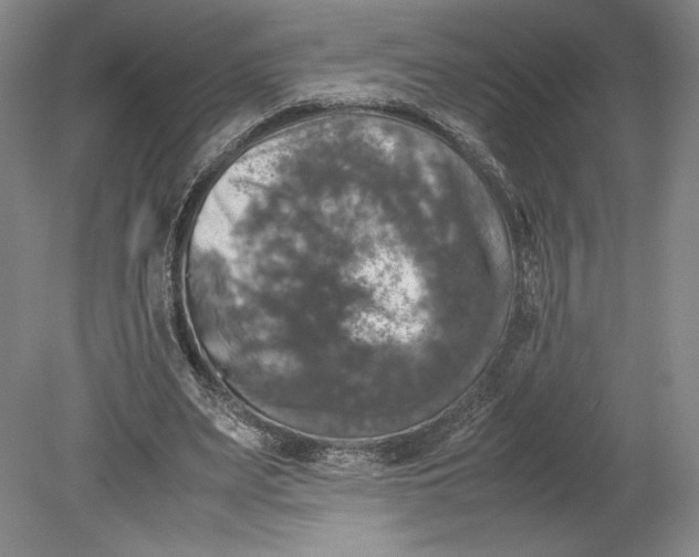 X0000080760487200701051240