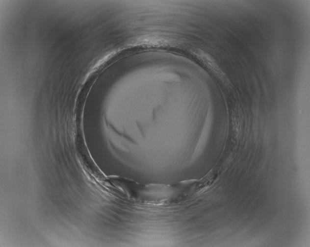 X0000080760488200701051240