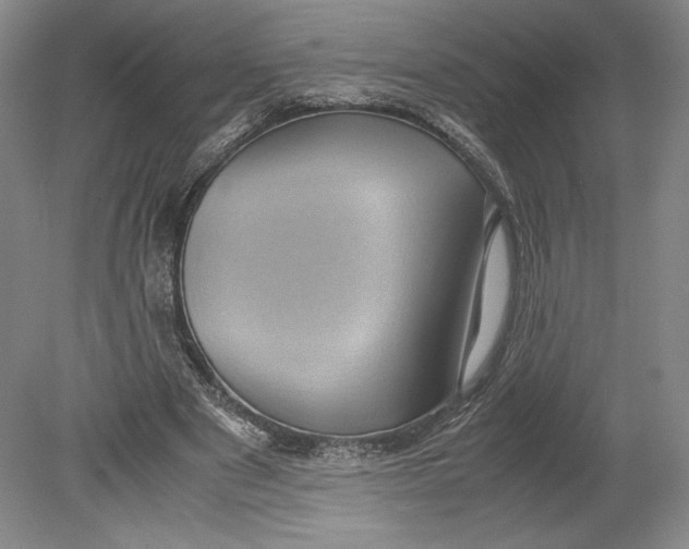 X0000080760489200701051240