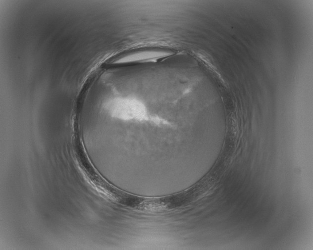 X0000080760491200701051240