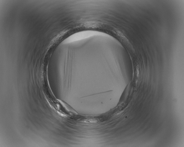 X0000080760492200701051240