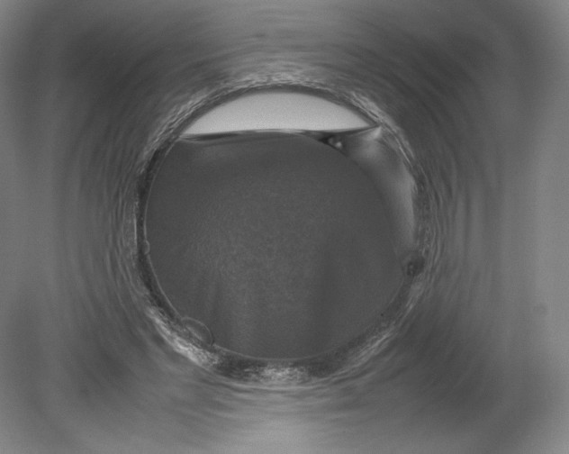 X0000080760493200701051240