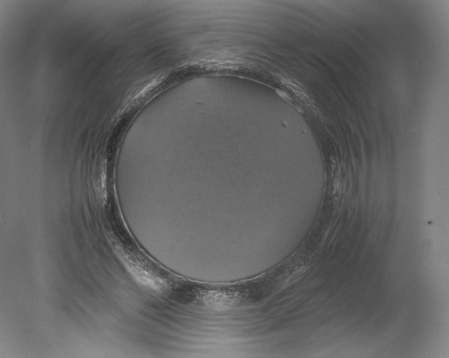 X0000080760494200701051240
