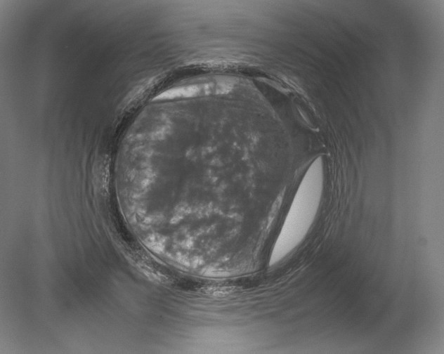 X0000080760495200701051240