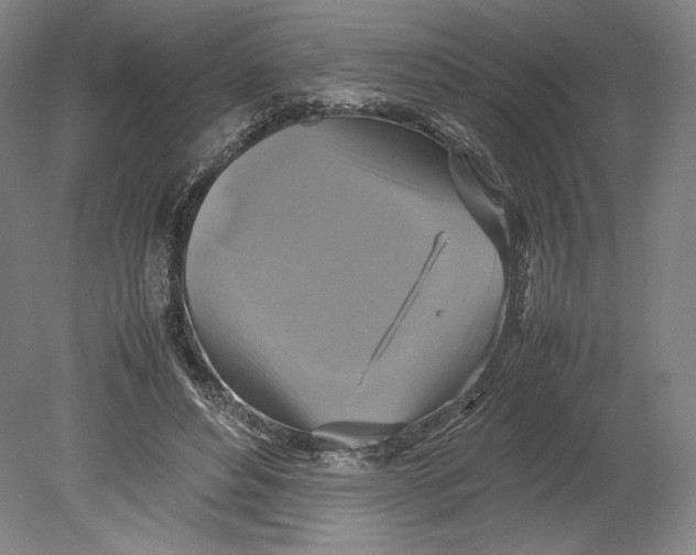 X0000080760496200701051240