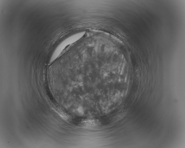 X0000080760499200701051240