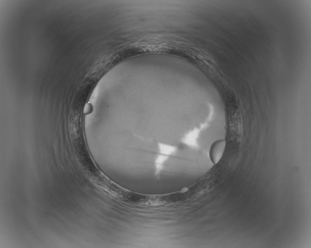 X0000080760503200701051240