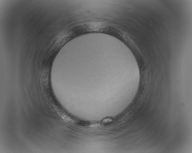 X0000080760505200701051239