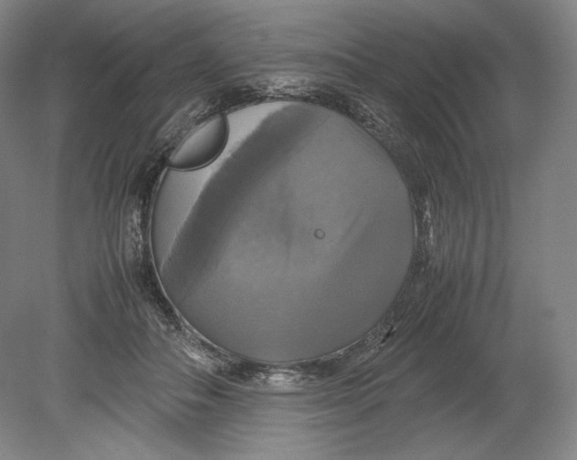 X0000080760506200701051239