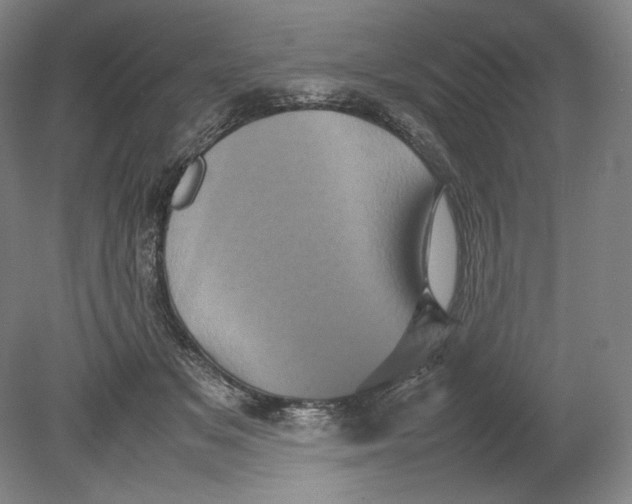 X0000080760509200701051239