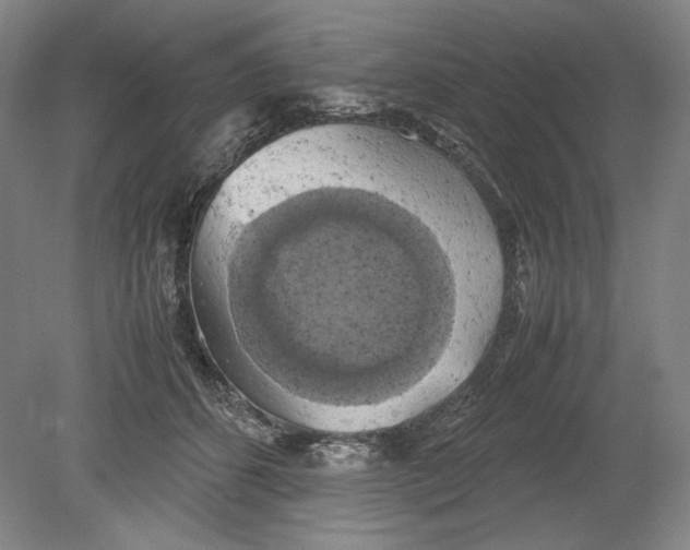 X0000080760512200701051239