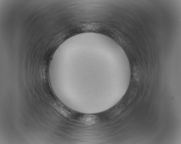 X0000080760514200701051239