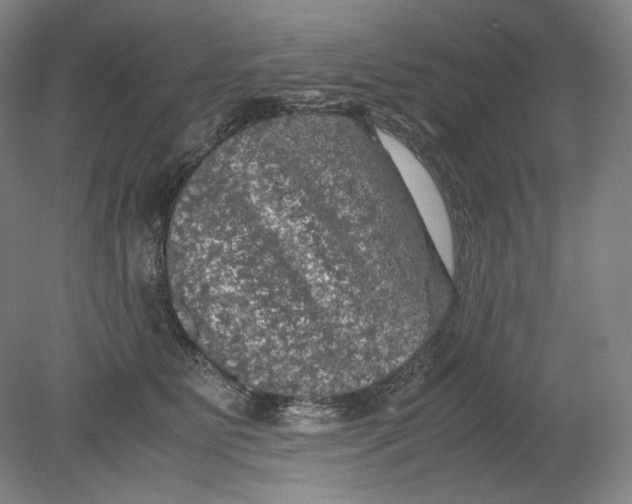 X0000080760515200701051239