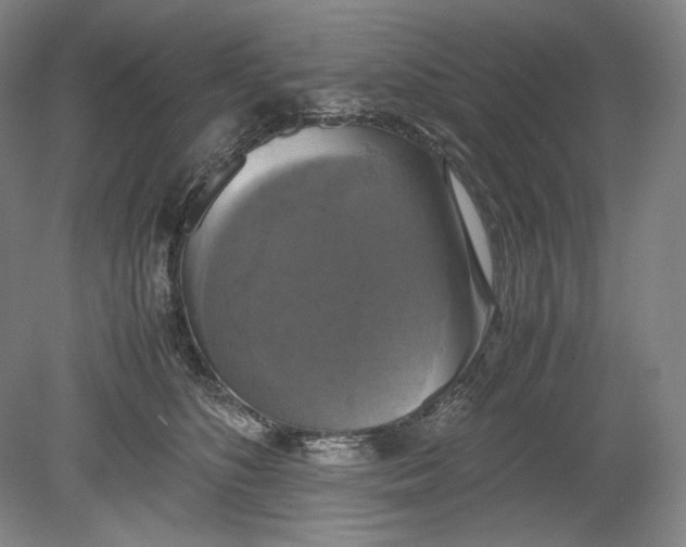 X0000080760516200701051239