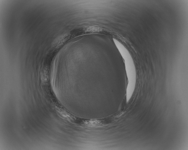 X0000080760517200701051239