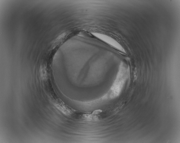 X0000080760520200701051239