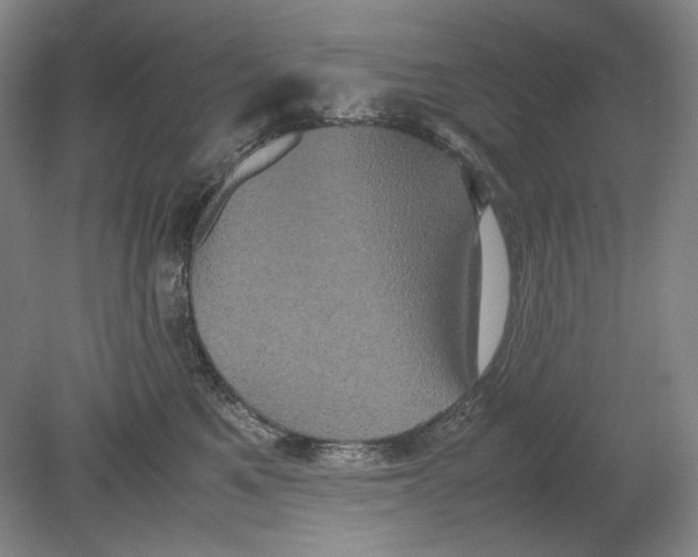 X0000080760521200701051239
