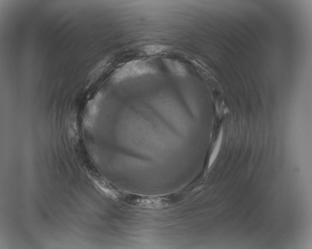 X0000080760524200701051239