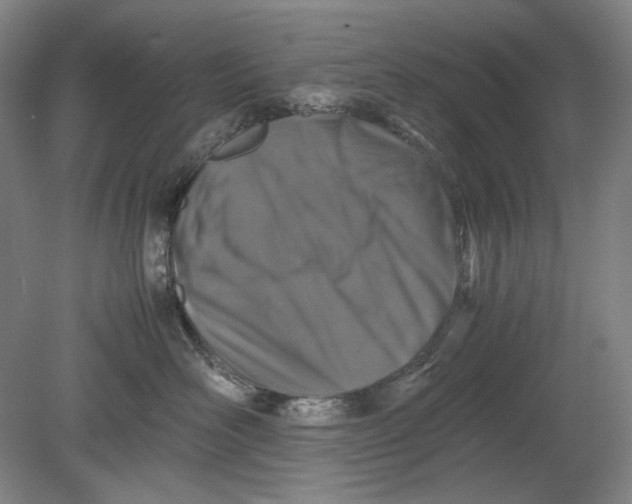 X0000080760526200701051239