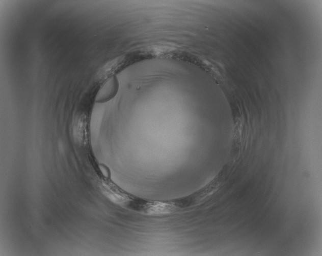 X0000080760527200701051239