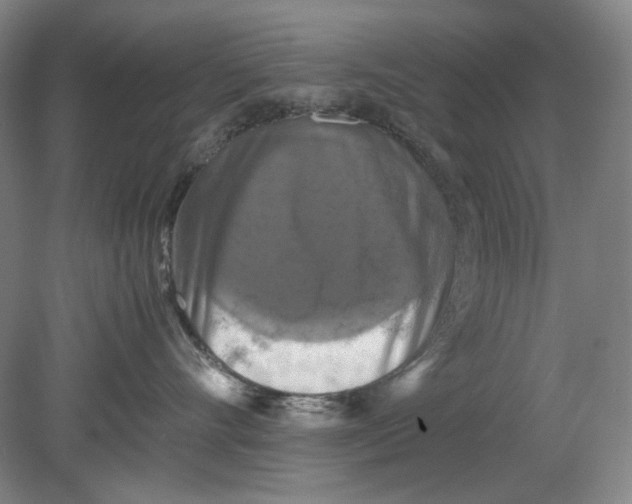 X0000080760528200701051239