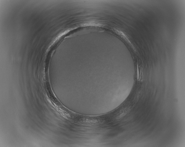 X0000080760531200701051238