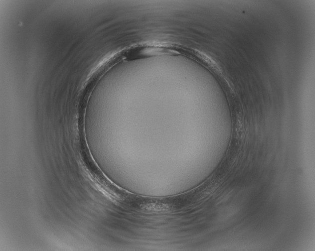 X0000080760535200701051238