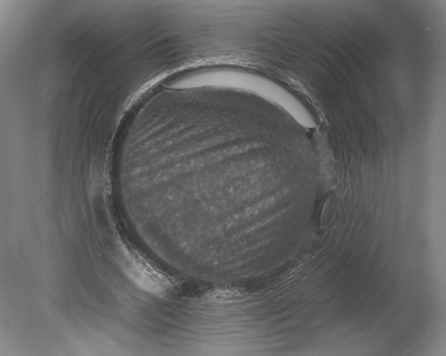 X0000080760536200701051238