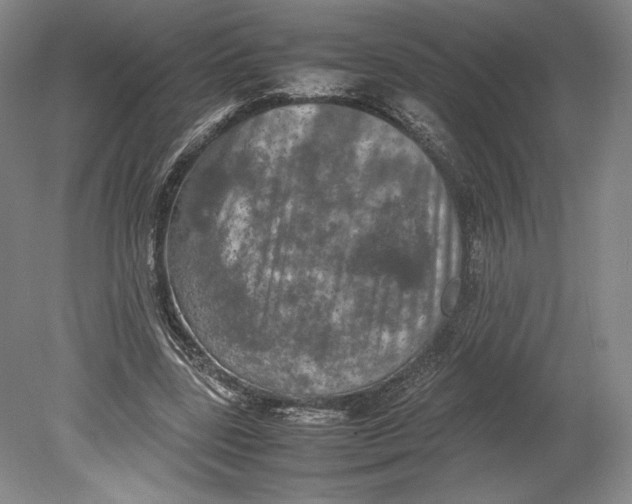 X0000080760539200701051238