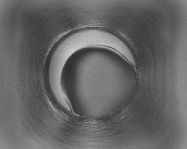 X0000080760540200701051238