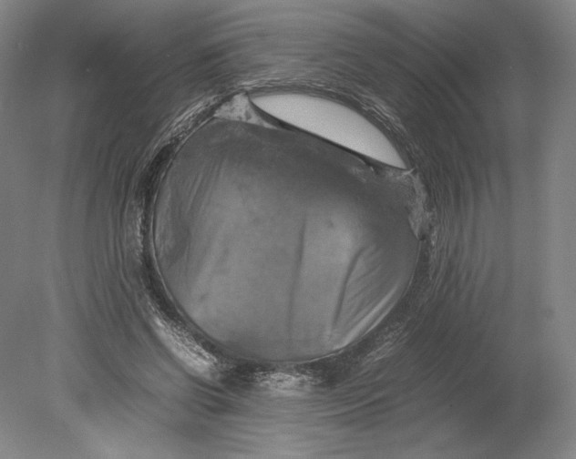 X0000080760542200701051238