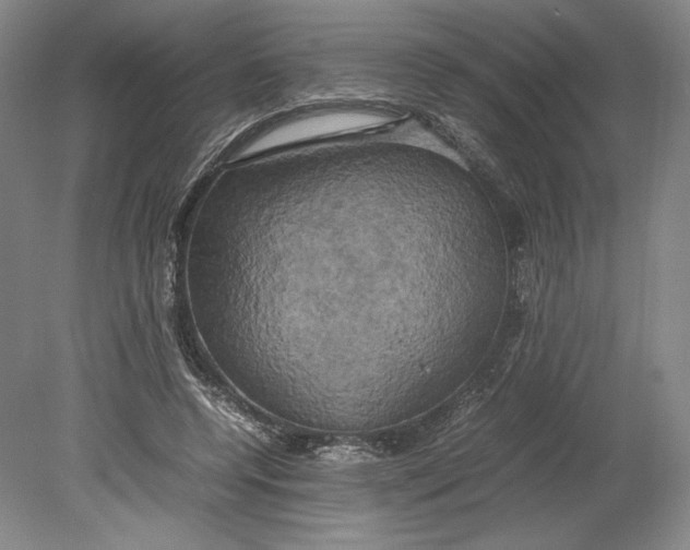 X0000080760544200701051239