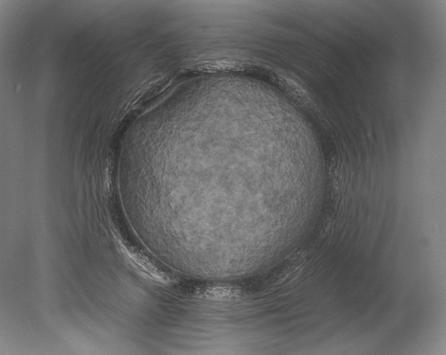 X0000080760546200701051239