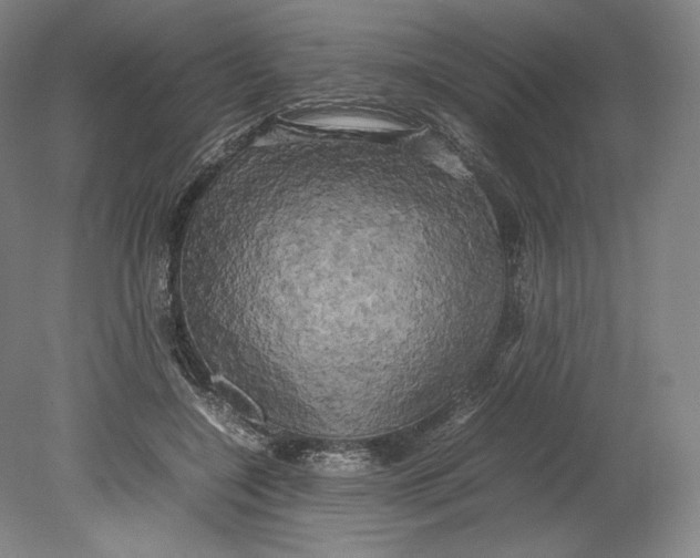 X0000080760548200701051239