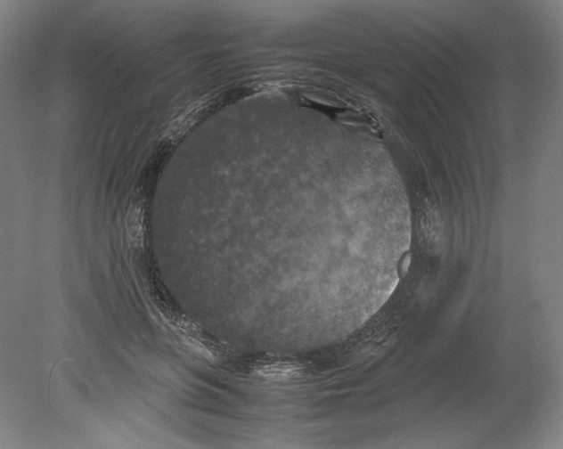 X0000080760551200701051239