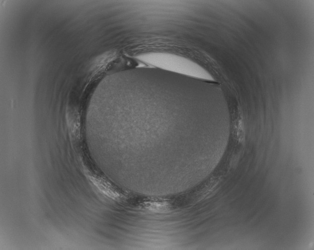 X0000080760552200701051239