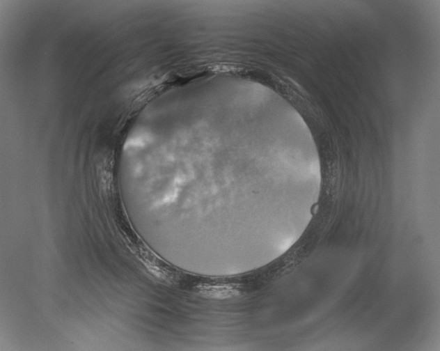 X0000080760553200701051239