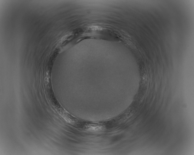 X0000080760555200701051239