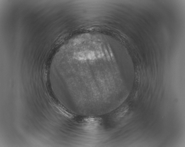 X0000080760558200701051239