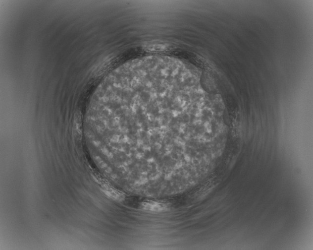X0000080760561200701051239