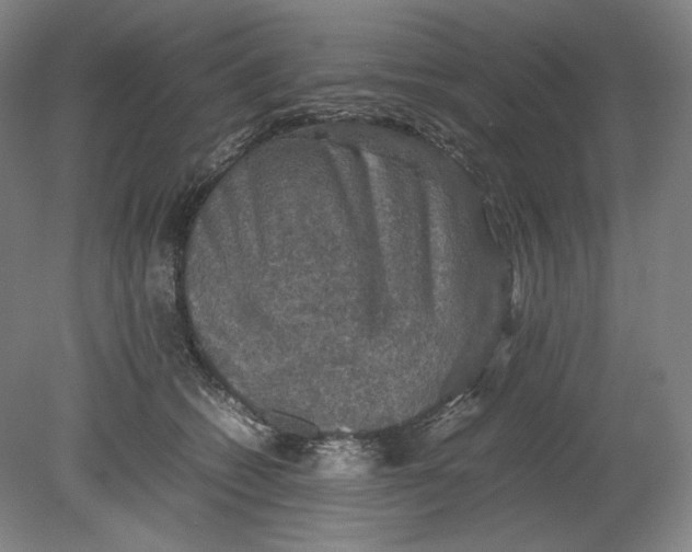 X0000080760562200701051239