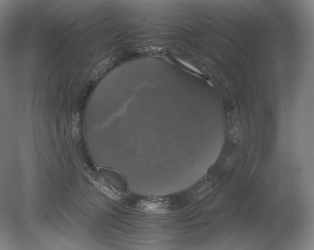 X0000080760563200701051239