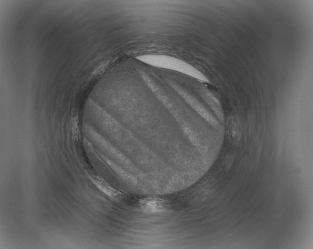 X0000080760564200701051239