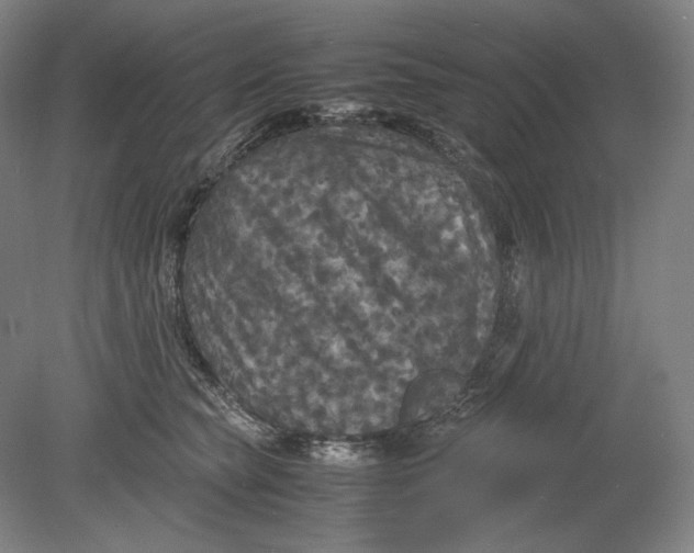 X0000080760565200701051239