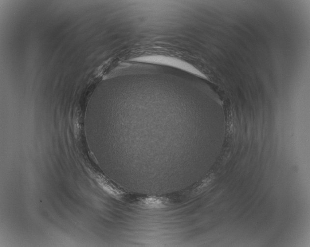 X0000080760566200701051239